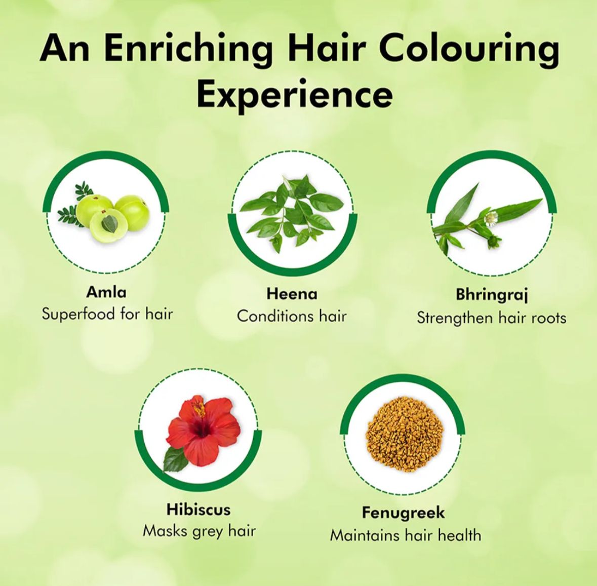 Haiqa Expeditious Hair Colour Shampoo (Natural Brown)-400ml-HEALTH & PERSONAL CARE-dealsplant