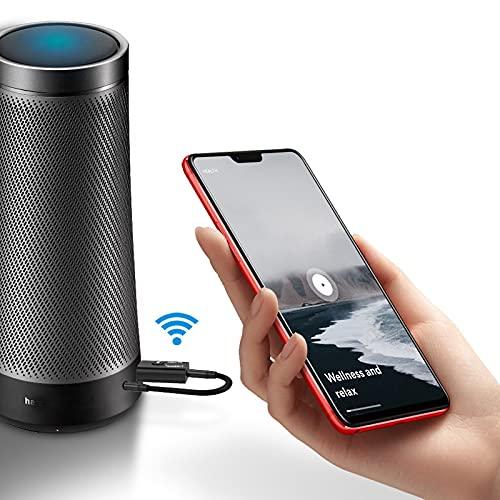 2-in-1 Bluetooth 5.0 USB Receiver Transmitter, Bluetooth Audio Transmitter Receiver for Home Theatre, Speakers, Bluetooth Audio Adapter for Music System-Bluetooth Transmitters-dealsplant