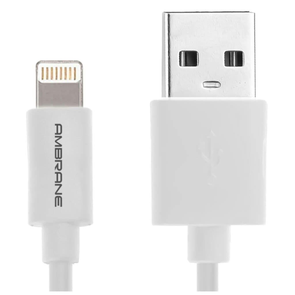 Ambrane ACL-11 Lightning Cable for Apple iPhone iPad iPod-Datacable-dealsplant
