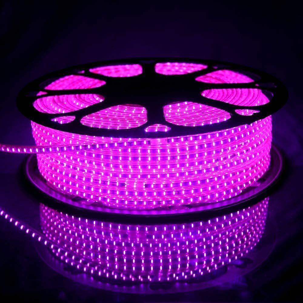 Dealsplant 2835 Strip LED Light IP 65 Waterproof 12V Led Strips (4 Meter)-LED Lights-dealsplant