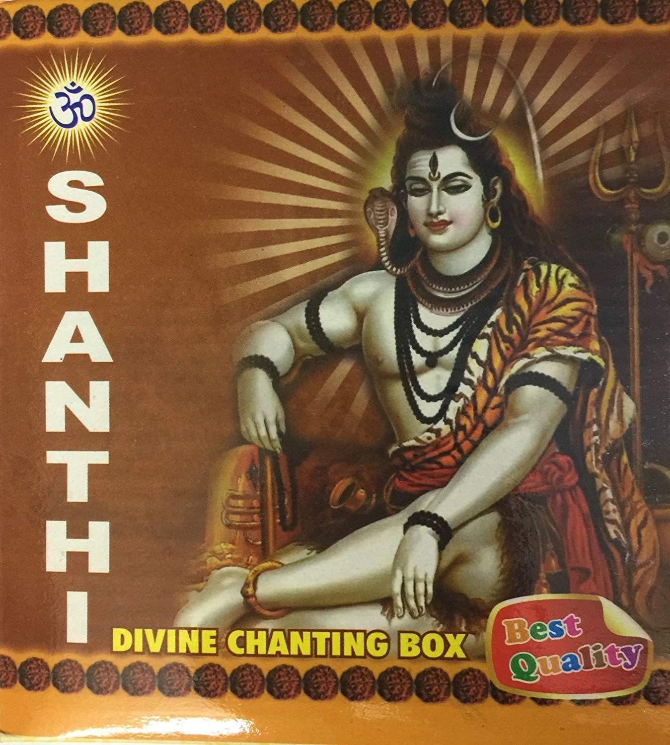 dealsplant 14 in 1 Pooja Mantra Metal Sloka Devotional Songs Chanting Box (Multicolour)-Mantra Chanters-dealsplant