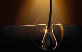 Havells Compact Hair Dryer - HD3152 (Pink)-Home & Kitchen Accessories-dealsplant