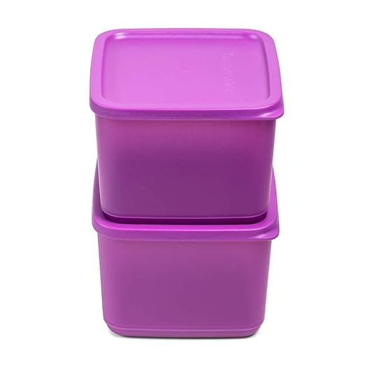 Tupperware Cubix 1 Ltr Container Set of 2 (SF2)-Home & Kitchen Accessories-dealsplant