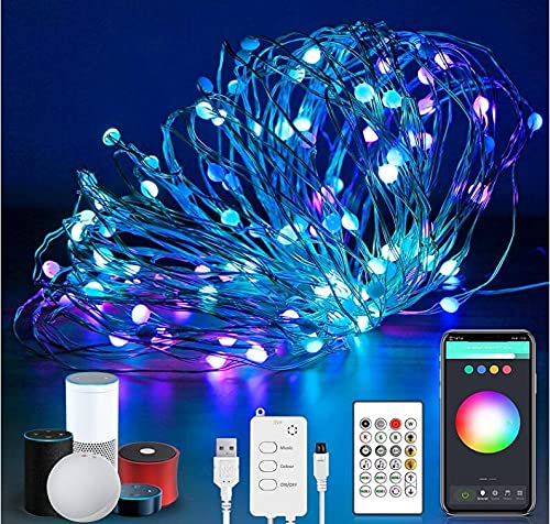 Dealsplant Voice /App /Remote controlled Multi color Multi mode LED String light 5V water proof decorative light (10M)-LED Lights-dealsplant