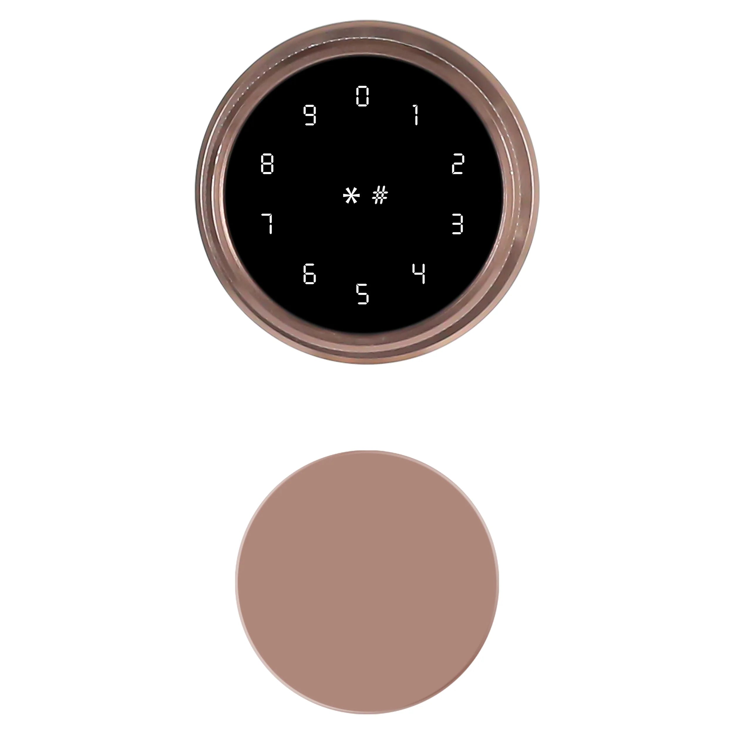 Ozone Oracle Smart Lock with Rose Plate with 5-way access | Door Thickness: 35-65 mm-Internet Security-dealsplant