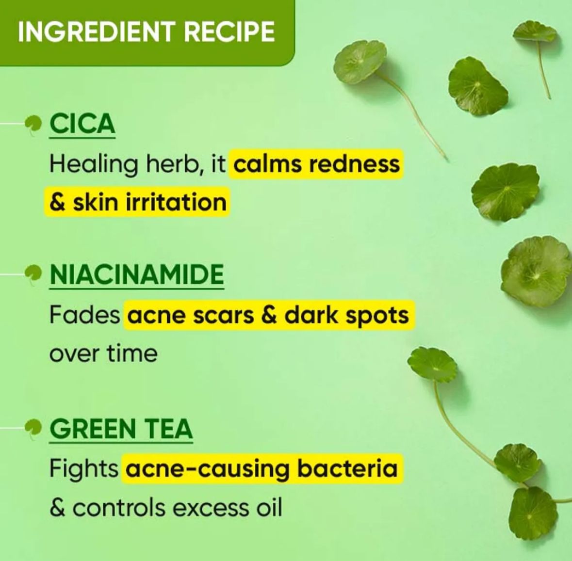 Haiqa Green Tea Toner-50ml-HEALTH & PERSONAL CARE-dealsplant