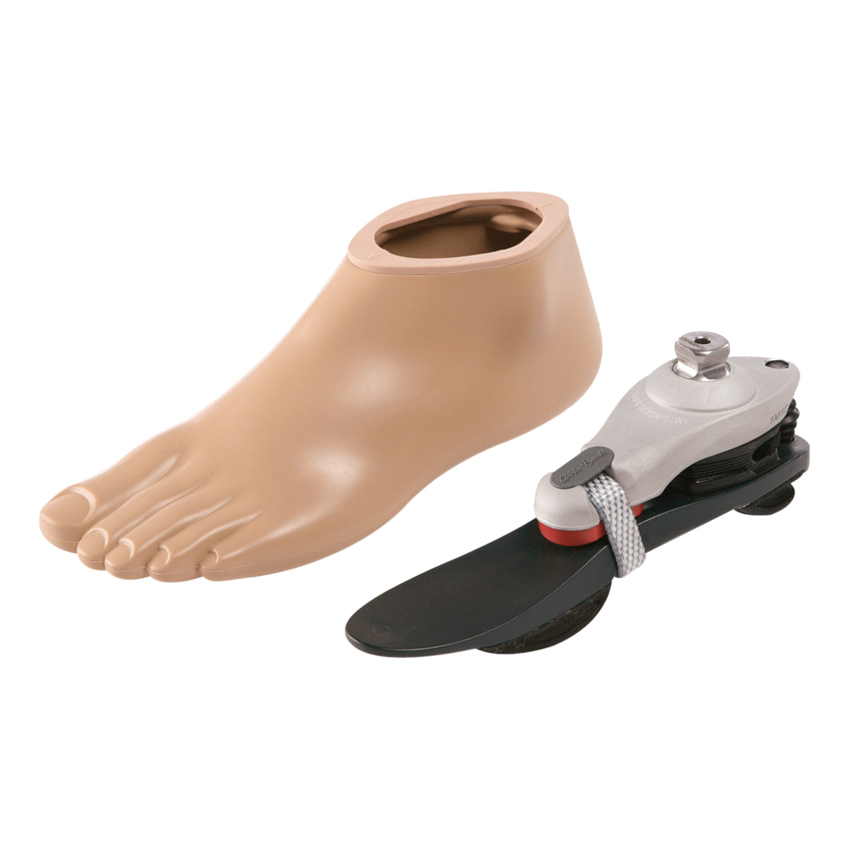 Grace Foot (left/right) - Keel, Footshell and Adapter-Health Care-dealsplant