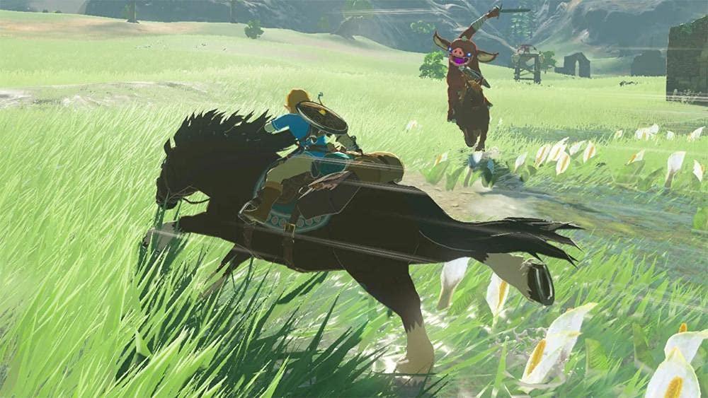 Nintendo The Legend of Zelda: Breath of the Wild - Nintendo Switch-Games-dealsplant