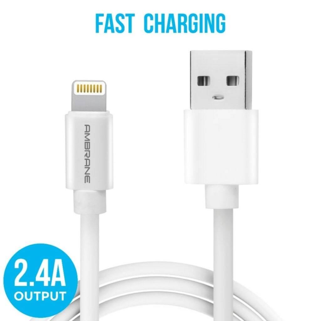 Ambrane ACL-11 Lightning Cable for Apple iPhone iPad iPod-Datacable-dealsplant