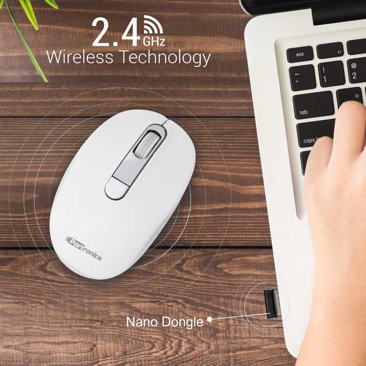 Portronics Toad 11 Wireless Mouse with 2.4GHz Technology-Wired Optical Mous-dealsplant