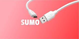 Vismac SUMO DC-33 Unbreakable 3.1 Amps Fast Charging USB Cable-Datacable-dealsplant